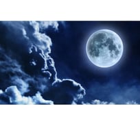 Панель для кухонного фартука ФАРТУКОФФ "ФФ - 163", глянцевая 1000x600x1,0 мм, Фотопечать 35011630401