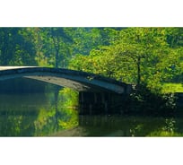 Панель для кухонного фартука ФАРТУКОФФ "ФФ - 173", глянцевая 1000x600x1,0 мм, Фотопечать 35011730401