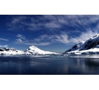 Панель для кухонного фартука ФАРТУКОФФ "ФФ - 179", глянцевая 1000x600x1,0 мм, Фотопечать 35011790401