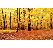 Панель для кухонного фартука ФАРТУКОФФ "ФФ - 180", глянцевая 1000x600x1,0 мм, Фотопечать 35011800401