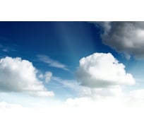 Панель для кухонного фартука ФАРТУКОФФ "ФФ - 181", глянцевая 1000x600x1,0 мм, Фотопечать 35011810401