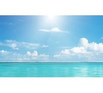 Панель для кухонного фартука ФАРТУКОФФ "ФФ - 183", глянцевая 1000x600x1,0 мм, Фотопечать 35011830401