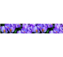 Панель для кухонного фартука ФАРТУКОФФ глянцевая "ФФ - 227", 4000x600x1,0 мм, Фотопечать 35012270404