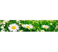 Панель для кухонного фартука ФАРТУКОФФ глянцевая "ФФ - 306", 3000x600x1,0 мм, Фотопечать 35013060403