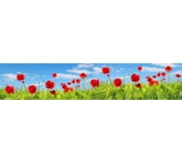 Панель для кухонного фартука ФАРТУКОФФ глянцевая "ФФ - 309", 3000x600x1,0 мм, Фотопечать 35013090403