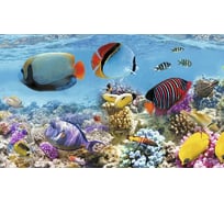 Панель для кухонного фартука ФАРТУКОФФ "ФФ - 17", глянцевая 1000x600x1,0 мм, Фотопечать 35010170401