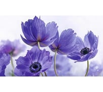 Панель для кухонного фартука ФАРТУКОФФ "ФФ - 18", глянцевая 1000x600x1,0 мм, Фотопечать 35010180401