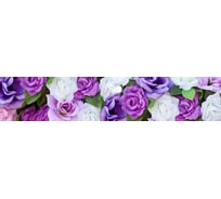 Панель для кухонного фартука ФАРТУКОФФ глянцевая "ФФ - 13", 3000x600x1,0 мм, Фотопечать 35010130403