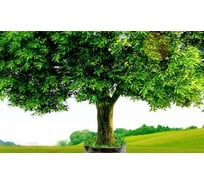 Панель для кухонного фартука ФАРТУКОФФ "ФФ - 1", глянцевая 1000x600x1,0 мм, Фотопечать 35010010401