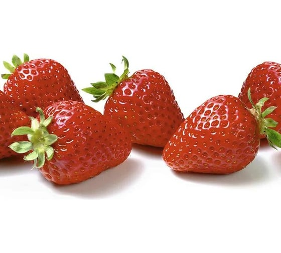 Панель для кухонного фартука ФАРТУКОФФ "ФФ - 10", глянцевая 1000x600x1,0 мм, Фотопечать 35010100401 1