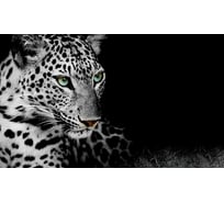 Панель для кухонного фартука ФАРТУКОФФ "ФФ - 12", глянцевая 1000x600x1,0 мм, Фотопечать 35010120401