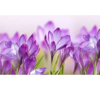 Панель для кухонного фартука ФАРТУКОФФ "ФФ - 225", глянцевая 1000x600x1,0 мм, Фотопечать 35012250401