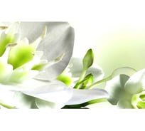 Панель для кухонного фартука ФАРТУКОФФ "ФФ - 228", глянцевая 1000x600x1,0 мм, Фотопечать 35012280401