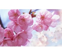 Панель для кухонного фартука ФАРТУКОФФ "ФФ - 229", глянцевая 1000x600x1,0 мм, Фотопечать 35012290401