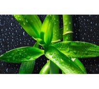 Панель для кухонного фартука ФАРТУКОФФ "ФФ - 231", глянцевая 1000x600x1,0 мм, Фотопечать 35012310401