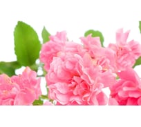 Панель для кухонного фартука ФАРТУКОФФ "ФФ - 234", глянцевая 1000x600x1,0 мм, Фотопечать 35012340401