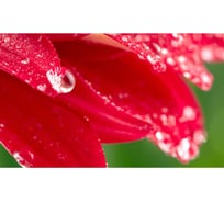 Панель для кухонного фартука ФАРТУКОФФ "ФФ - 235", глянцевая 1000x600x1,0 мм, Фотопечать 35012350401