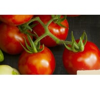 Панель для кухонного фартука ФАРТУКОФФ "ФФ - 209", глянцевая 1000x600x1,0 мм, Фотопечать 35012090401