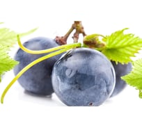 Панель для кухонного фартука ФАРТУКОФФ "ФФ - 214", глянцевая 1000x600x1,0 мм, Фотопечать 35012140401