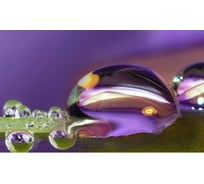 Панель для кухонного фартука ФАРТУКОФФ "ФФ - 219", глянцевая 1000x600x1,0 мм, Фотопечать 35012190401