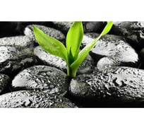 Панель для кухонного фартука ФАРТУКОФФ "ФФ - 220", глянцевая 1000x600x1,0 мм, Фотопечать 35012200401