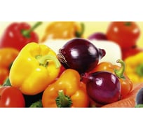 Панель для кухонного фартука ФАРТУКОФФ "ФФ - 206", глянцевая 1000x600x1,0 мм, Фотопечать 35012060401