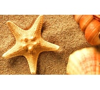 Панель для кухонного фартука ФАРТУКОФФ "ФФ - 188", глянцевая 1000x600x1,0 мм, Фотопечать 35011880401