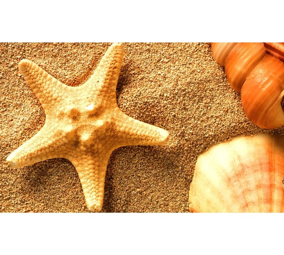 Панель для кухонного фартука ФАРТУКОФФ "ФФ - 188", глянцевая 1000x600x1,0 мм, Фотопечать 35011880401 1