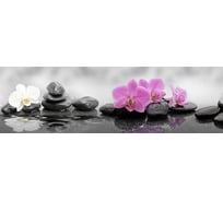 Панель для кухонного фартука ФАРТУКОФФ глянцевая "ФФ - 344", 2000x600x1,0 мм, Фотопечать 35013440402