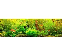 Панель для кухонного фартука ФАРТУКОФФ глянцевая "ФФ - 280", 2000x600x1,0 мм, Фотопечать 35012800402