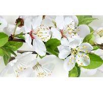 Панель для кухонного фартука ФАРТУКОФФ "ФФ - 428", глянцевая 1000x600x1,0 мм, Фотопечать 35014280401