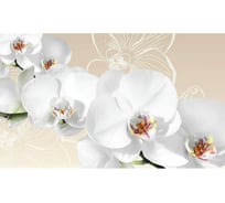 Панель для кухонного фартука ФАРТУКОФФ "ФФ - 423", глянцевая 1000x600x1,0 мм, Фотопечать 35014230401