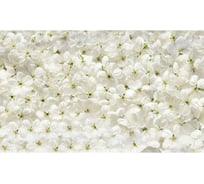 Панель для кухонного фартука ФАРТУКОФФ "ФФ - 270", глянцевая 1000x600x1,0 мм, Фотопечать 35012700401