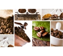 Панель для кухонного фартука ФАРТУКОФФ "ФФ - 286", глянцевая 1000x600x1,0 мм, Фотопечать 35012860401