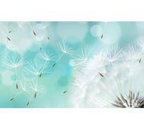 Панель для кухонного фартука ФАРТУКОФФ "ФФ - 252", глянцевая 1000x600x1,0 мм, Фотопечать 35012520401