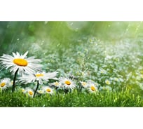 Панель для кухонного фартука ФАРТУКОФФ "ФФ - 256", глянцевая 1000x600x1,0 мм, Фотопечать 35012560401