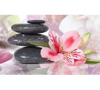 Панель для кухонного фартука ФАРТУКОФФ "ФФ - 242", глянцевая 1000x600x1,0 мм, Фотопечать 35012420401