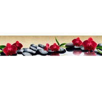 Панель для кухонного фартука ФАРТУКОФФ глянцевая "ФФ - 443", 3000x600x1,0 мм, Фотопечать 35014430403