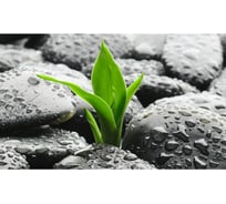 Панель для кухонного фартука ФАРТУКОФФ "ФФ - 272", глянцевая 1000x600x1,0 мм, Фотопечать 35012720401