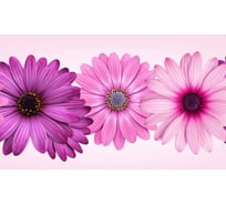 Панель для кухонного фартука ФАРТУКОФФ "ФФ - 278", глянцевая 1000x600x1,0 мм, Фотопечать 35012780401