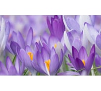 Панель для кухонного фартука ФАРТУКОФФ "ФФ - 277", глянцевая 1000x600x1,0 мм, Фотопечать 35012770401