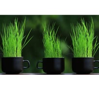 Панель для кухонного фартука ФАРТУКОФФ "ФФ - 281", глянцевая 1000x600x1,0 мм, Фотопечать 35012810401