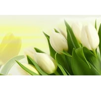 Панель для кухонного фартука ФАРТУКОФФ "ФФ - 322", глянцевая 1000x600x1,0 мм, Фотопечать 35013220401