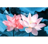 Панель для кухонного фартука ФАРТУКОФФ "ФФ - 345", глянцевая 1000x600x1,0 мм, Фотопечать 35013450401