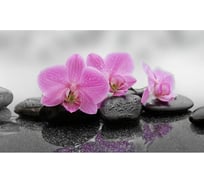 Панель для кухонного фартука ФАРТУКОФФ "ФФ - 344", глянцевая 1000x600x1,0 мм, Фотопечать 35013440401