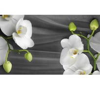 Панель для кухонного фартука ФАРТУКОФФ "ФФ - 347", глянцевая 1000x600x1,0 мм, Фотопечать 35013470401