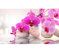 Панель для кухонного фартука ФАРТУКОФФ "ФФ - 348", глянцевая 1000x600x1,0 мм, Фотопечать 35013480401