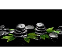 Панель для кухонного фартука ФАРТУКОФФ "ФФ - 351", глянцевая 1000x600x1,0 мм, Фотопечать 35013510401