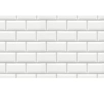 Панель для кухонного фартука ФАРТУКОФФ "ФФ - 356", глянцевая 1000x600x1,0 мм, Фотопечать 35013560401