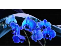 Панель для кухонного фартука ФАРТУКОФФ "ФФ - 358", глянцевая 1000x600x1,0 мм, Фотопечать 35013580401